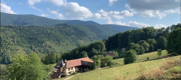 6 bedrooms House in Colmar, France No. 61890 5