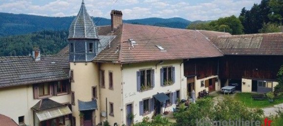 6 bedrooms House in Colmar, France No. 61890 4