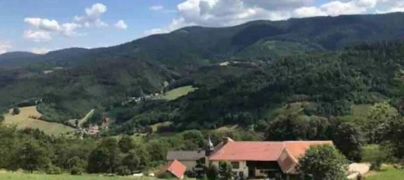 6 bedrooms House in Colmar, France No. 61890 25