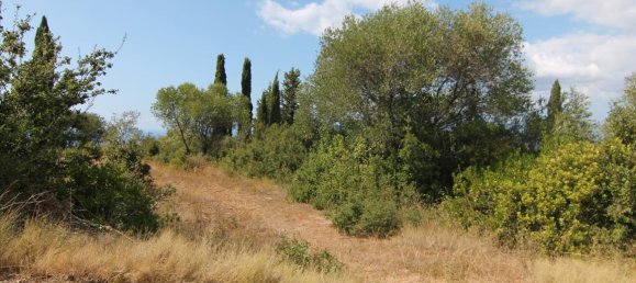 3800m² Hotel in Corfu, Greece No. 5357 7