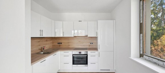 12غرفة فيلا في Lichterfelde, Germany رقم 56636 7