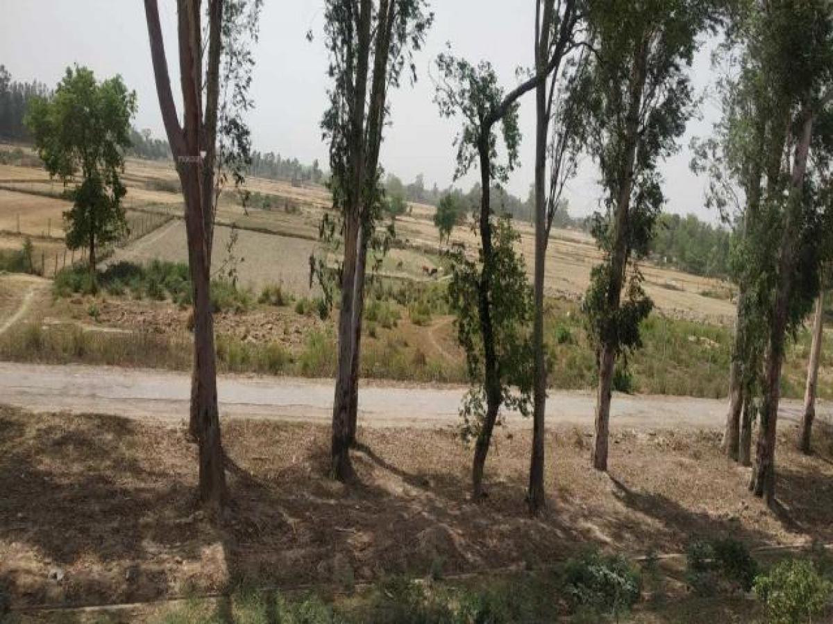  Land in Lucknow, India No. 33003