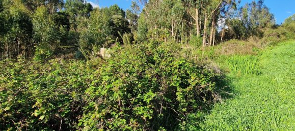  Land in Mafra, Portugal No. 126783 2