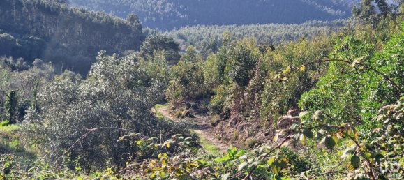  Land in Mafra, Portugal No. 126783 4