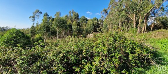  Land in Mafra, Portugal No. 126783 16