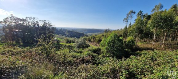  Land in Mafra, Portugal No. 126783 3