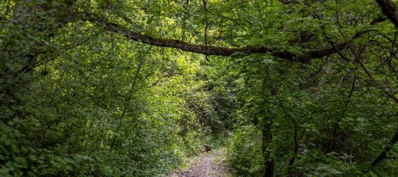 12 bedrooms House in Hautes-Alpes, France No. 308216 17