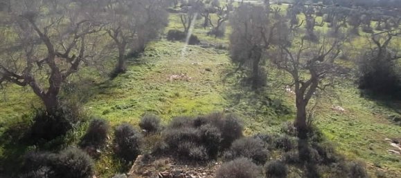 2 Schlafzimmer Haus in Casarano, Italy, Nr. 172258 21