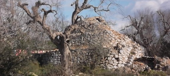 2 Schlafzimmer Haus in Casarano, Italy, Nr. 172258 7