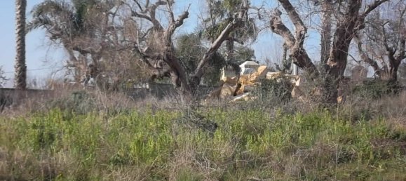 2 Schlafzimmer Haus in Casarano, Italy, Nr. 172258 8