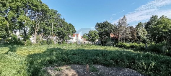 Terreno en Oberwaltersdorf, Austria No. 259882 8