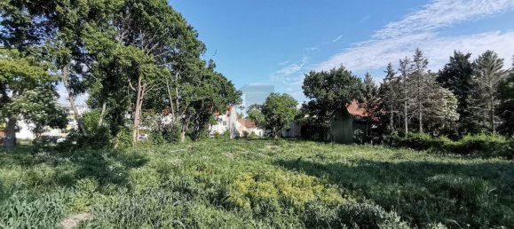 Terreno en Oberwaltersdorf, Austria No. 259882 7