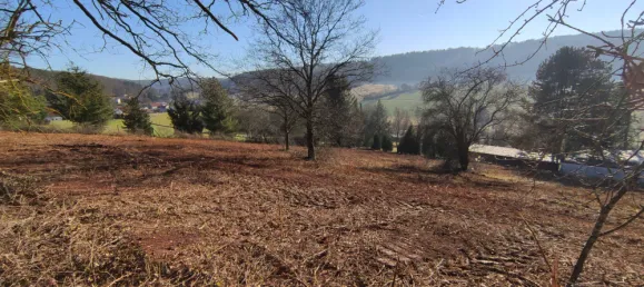  Land in Kaiserslautern, Germany No. 201779 2