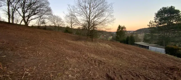  Land in Kaiserslautern, Germany No. 201779 6