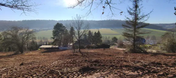  Land in Kaiserslautern, Germany No. 201779 12