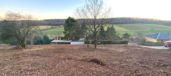  Land in Kaiserslautern, Germany No. 201779 7