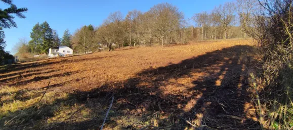  Land in Kaiserslautern, Germany No. 201779 5