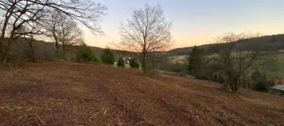  Land in Kaiserslautern, Germany No. 201779 8