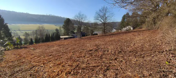  Land in Kaiserslautern, Germany No. 201779 4