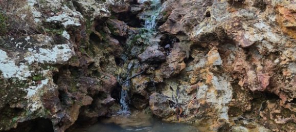Ferme à Mount Garnet, Australia No. 539 10