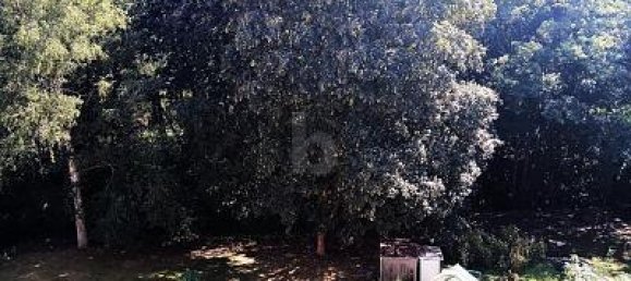 Apartamento de 2 habitaciónes en Harz, Germany No. 334328 2