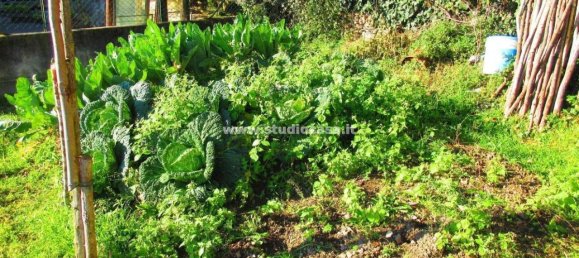 5-Zimmer Haus in Rogno, Italy, Nr. 33835 6