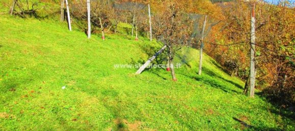 5-Zimmer Haus in Rogno, Italy, Nr. 33835 3