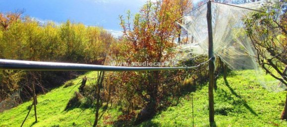 5-Zimmer Haus in Rogno, Italy, Nr. 33835 5