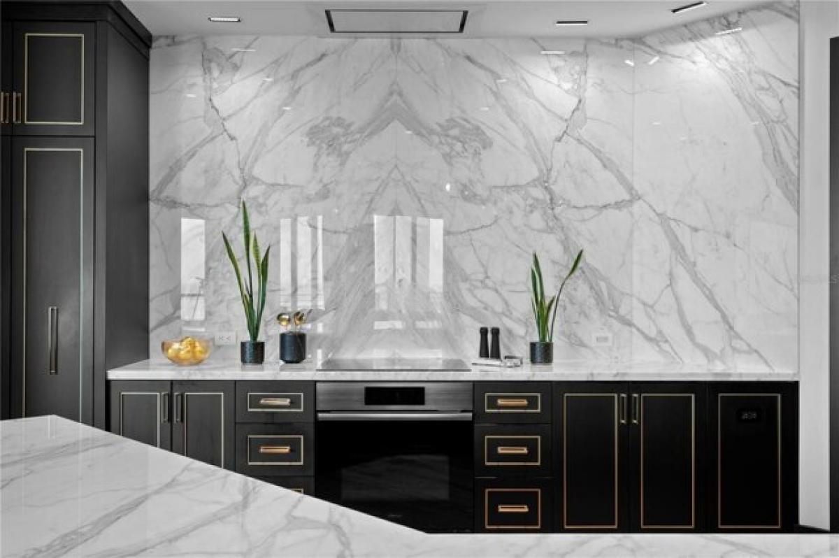 3 bedrooms House in Tampa, USA No. 258309