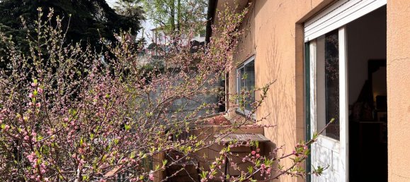 5 bedrooms House in Vila Real, Portugal No. 140760 27