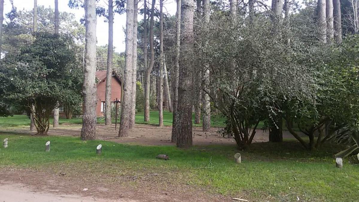  Land in Mar del Plata, Argentina No. 115334