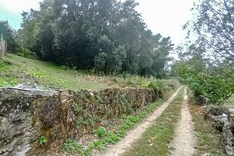  Land in Carvalhal, Portugal No. 202268