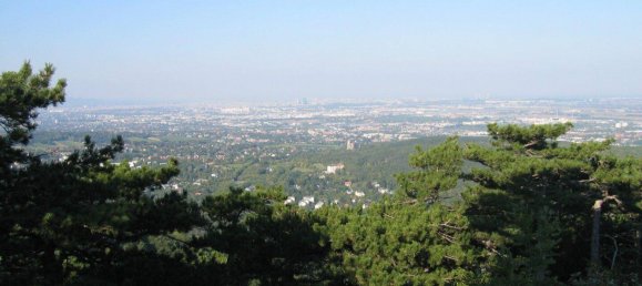 3غرفة شقة في Modling, Austria رقم 188378 17