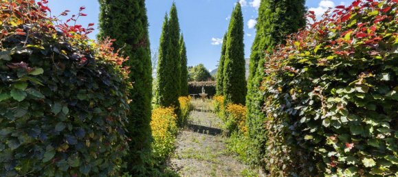 11 rooms Villa in Steindorf am Ossiacher See, Austria No. 255239 15