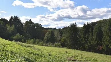 Terreno en Kainbach bei Graz, Austria No. 245417