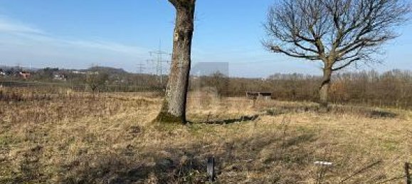 Terreno em Dortmund, Germany 7734 m² N.º 230114 4