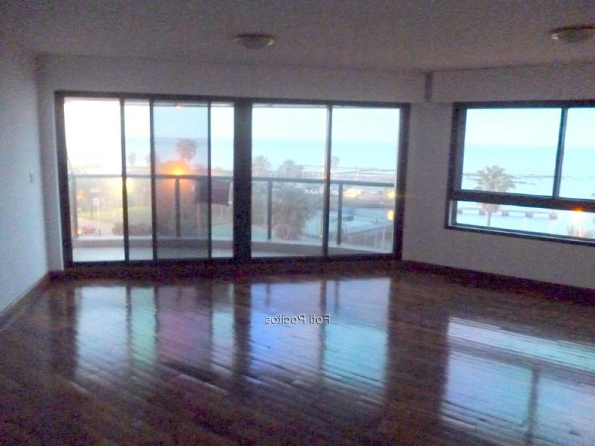 3 Schlafzimmer Wohnung in Montevideo, Uruguay, Nr. 9663