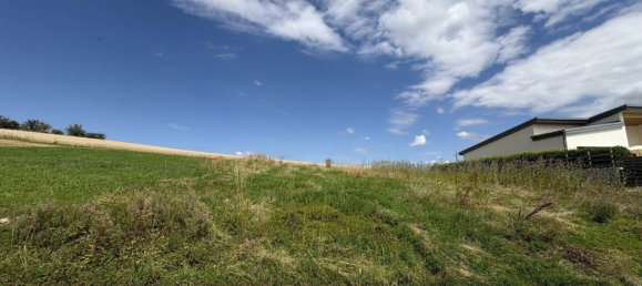  Land in Tollet, Austria No. 203894 2