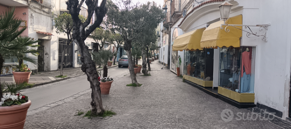 1غرفة عقار تجاري في Ischia, Italy رقم 257275 5