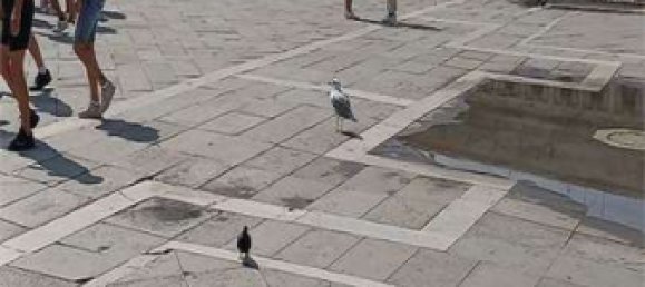 6 bedrooms Hotel in Venice, Italy No. 61842 5