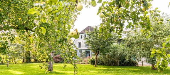 6 rooms Castles in Schleswig-Holstein, Germany No. 59157 21