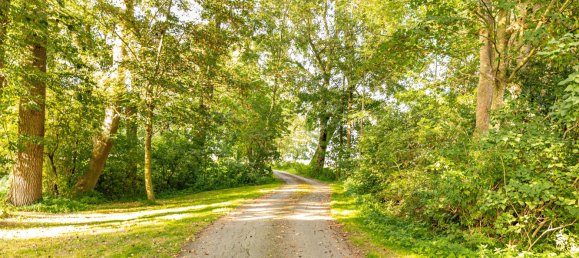 6 rooms Castles in Schleswig-Holstein, Germany No. 59157 26