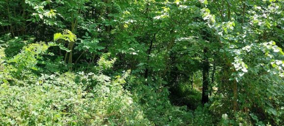 5-salle Maison à Payerbach, Austria No. 197357 11