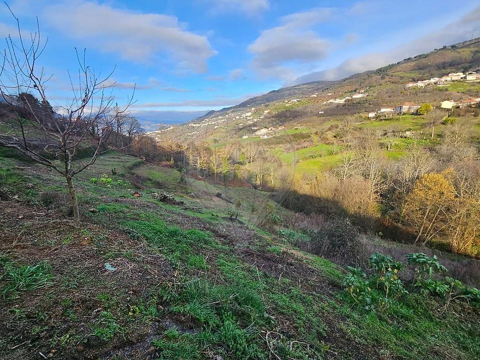 Grundstück in Resende, Portugal, Nr. 202900