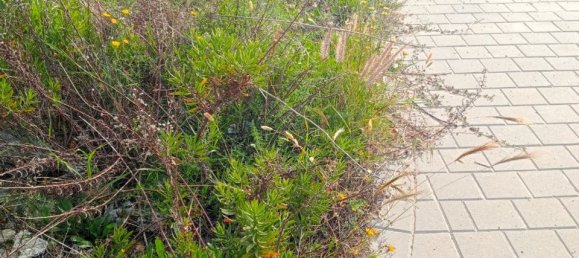 Terrain à Alicante, Spain No. 185790 8