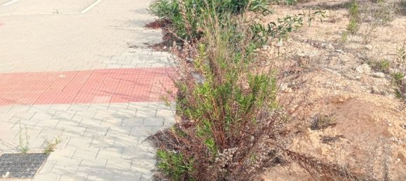 Terrain à Alicante, Spain No. 185790 7