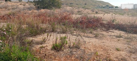 Terrain à Alicante, Spain No. 185790 9
