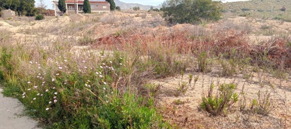 Terrain à Alicante, Spain No. 185790 10