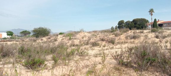 Terrain à Alicante, Spain No. 185790 5