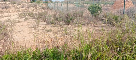 Terrain à Alicante, Spain No. 185790 4